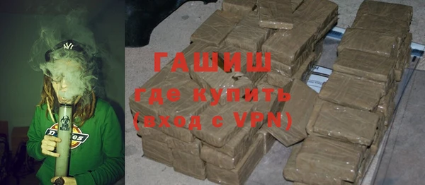 гашик Каменка
