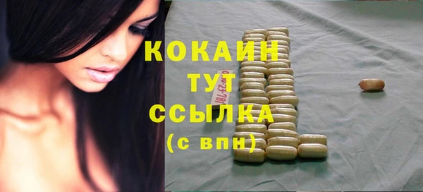 гашик Каменка
