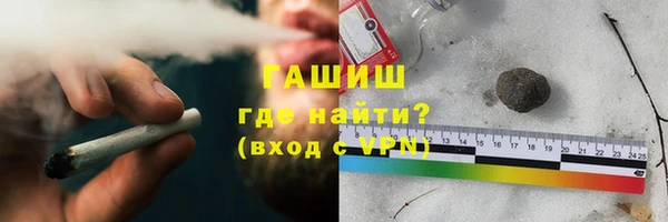 гашик Каменка