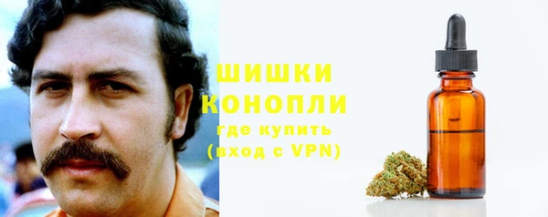 бошки Каменногорск