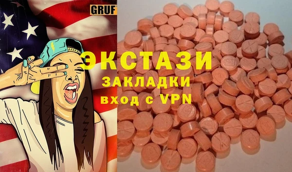 гашик Каменка