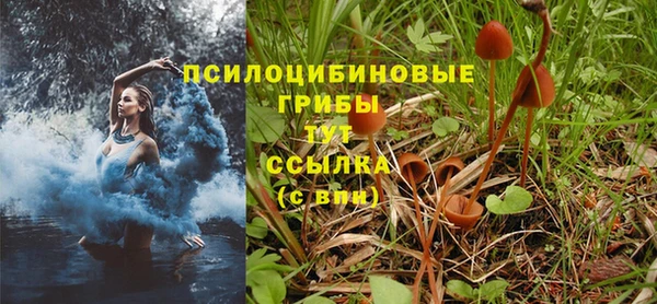 гашик Каменка