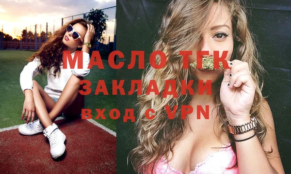 гашик Каменка