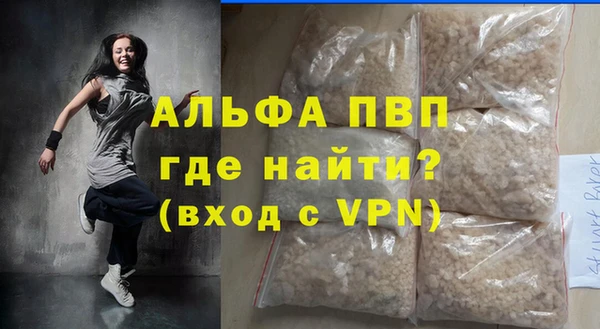 гашик Каменка