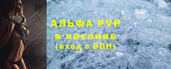 гашик Каменка