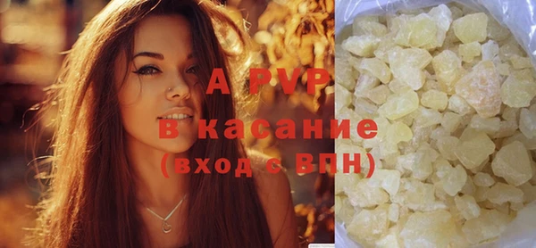 гашик Каменка